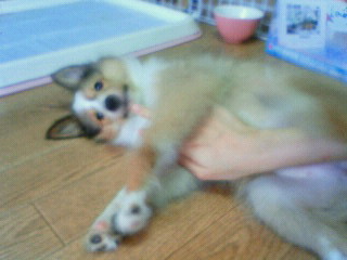 201108041023000.jpg