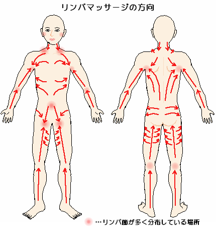 リンパマッサージ | リンパの働き・リンパの病気