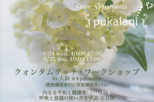 クォンタムタッチワークショップ