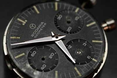RODANIA GEOMETER。 | ゼンマイワークスの日常。