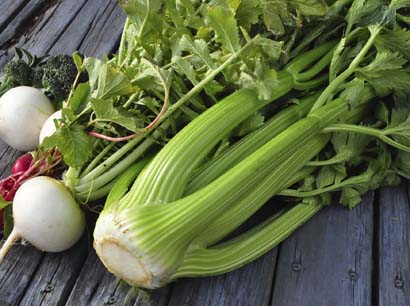 セロリと汐昆布のお漬け物 | タマの田舎暮らし