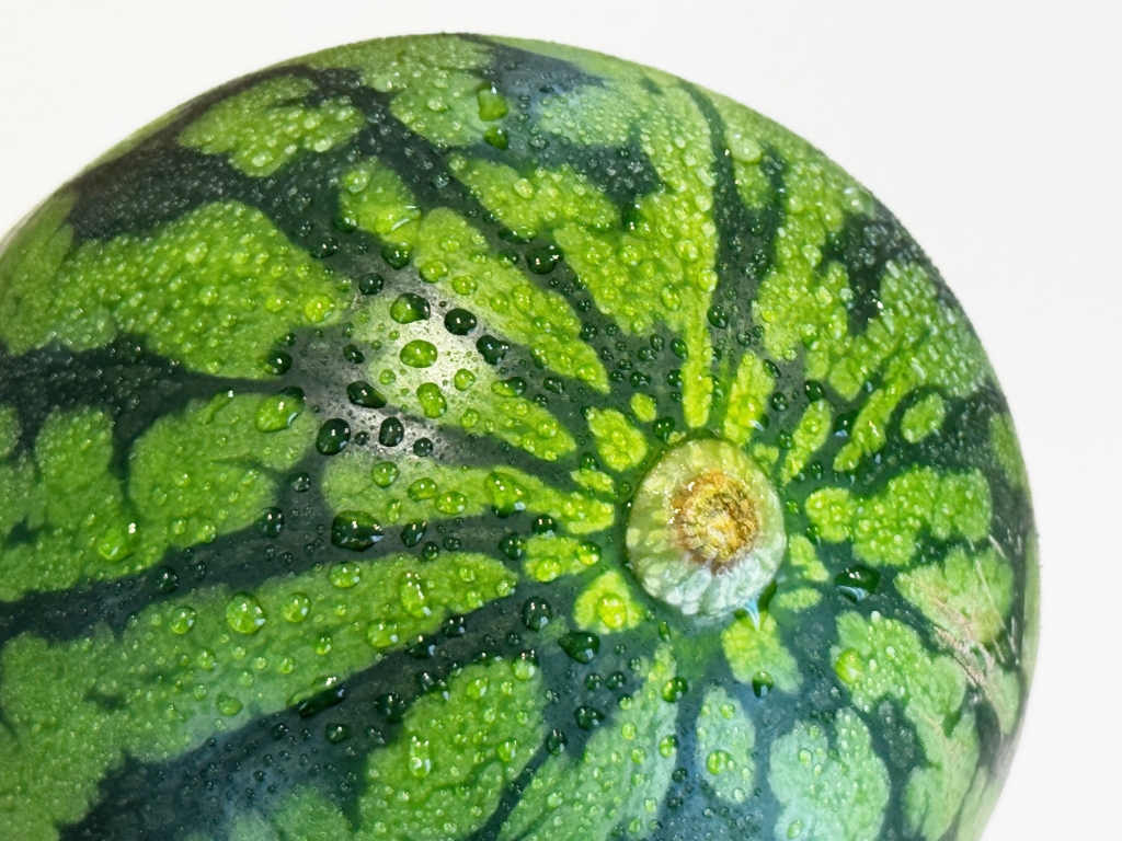 常温・冷蔵・冷凍】スイカの正しい保存方法 | 旬のよみもの｜伊達水蜜園