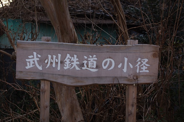 Amazon.co.jp: 武州鉄道/風間進/埼玉の地方政治家飯野喜四郎が