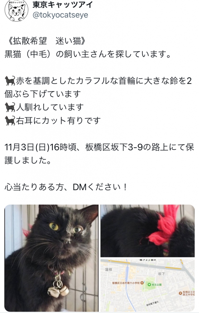 【期間限定値下げ】 名入れ 猫 はみ出しスクゥエア型 　猫　長毛種　黒 さがのひを3/24きみ色新刊発売！ on X: 