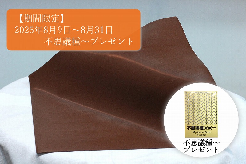 お得！】BL研究所 不思議シート (大) 約40cm角 2枚セット