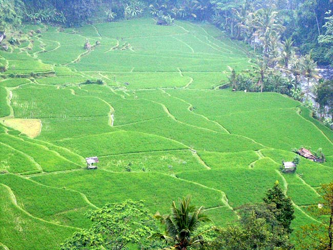 ubud-bali