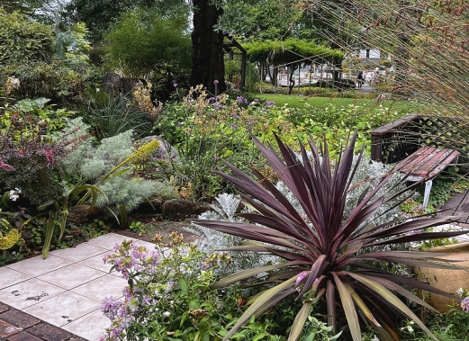 草津市立水生植物公園水の森 | ピカゴロ日記
