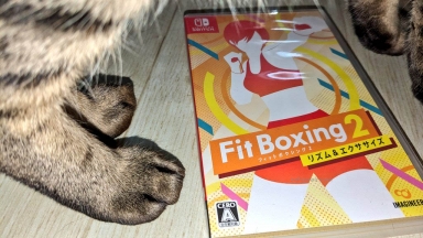 FitBoxing2