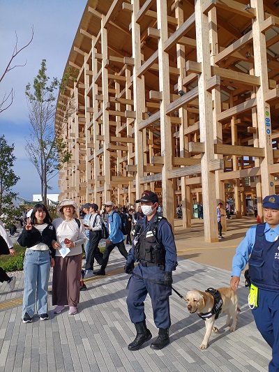 マーブルキャット置物 2個セット　スーダン館　パビリオン　コモンズ 2025年最新】パビリオンお土産の人気アイテム - メルカリ