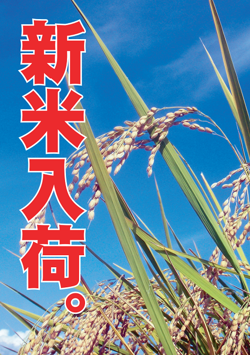 酒と米うちの】令和6年産「新潟コシヒカリ」値下げ 酒と米うちの】令和6年産「新潟コシヒカリ」値下げ
