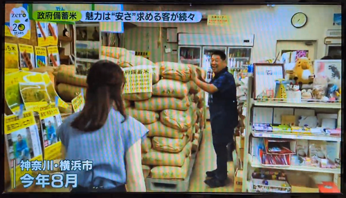 ぺぺ✳︎購入前コメ必須発送は平日のみです ぺぺ✳︎購入前コメ必須発送は平日のみです ぺぺ✳︎購入前コメ