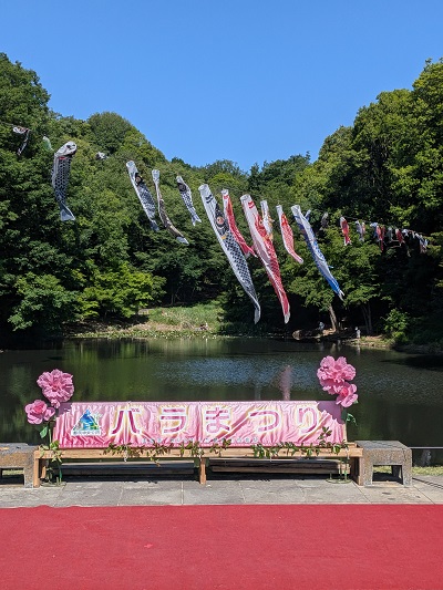 都筑区センター南の都筑中央公園で「バラまつり 2026」が行われました