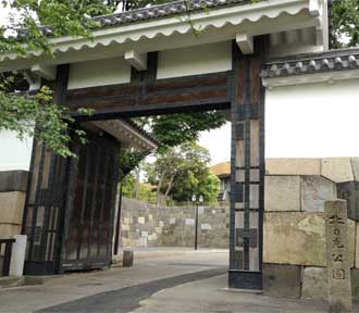 お外ヨガ 北の丸公園2