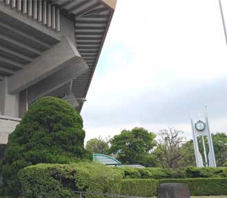 お外ヨガ 北の丸公園4
