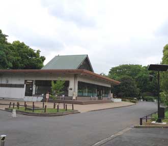 お外ヨガ 北の丸公園5