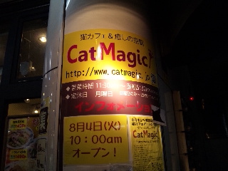 CAT MAGICִġ