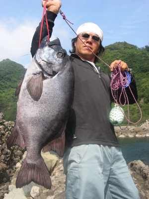 石鯛倶楽部　2007年1年分＋2008年1年分＋2009年1年分 計36冊 Yahoo!オークション -「石鯛」(本、雑誌) の落札相場・落札価格