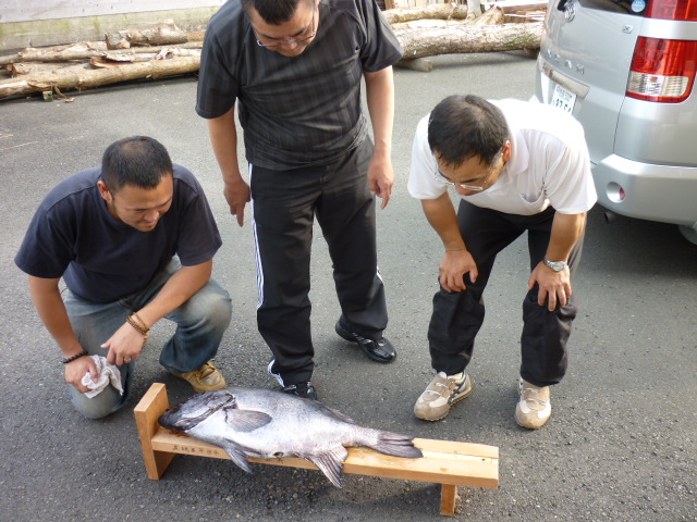 日本記録級超大型イシダイ釣る その2 | 松村木材 Blog