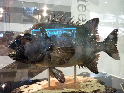 フィッシングショーOSAKA 2011 | 松村木材 Blog