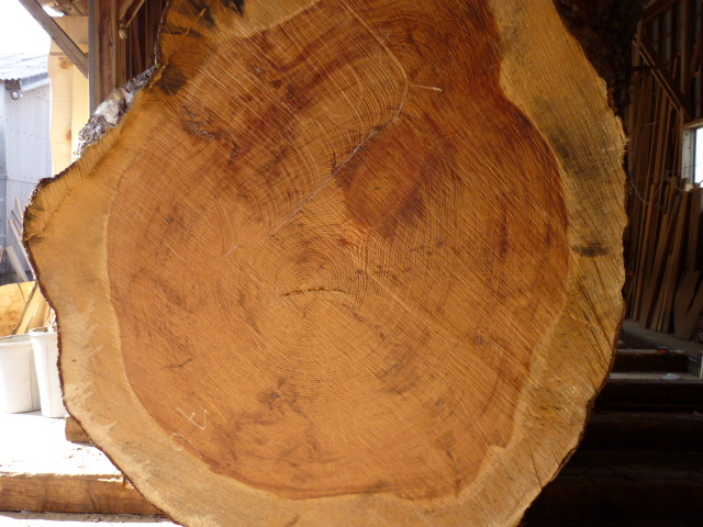 樹齢約500年 島根県産黒松の肥松 製材 | 松村木材 Blog