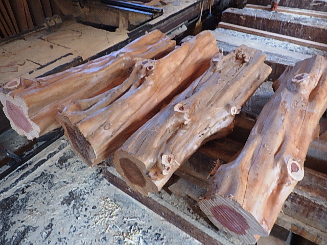 カイズカイブキ輪切り、レストラン用 | 松村木材 Blog