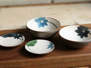大谷桃子 黒ハスの花浅鉢 他 | 彩々日々色々
