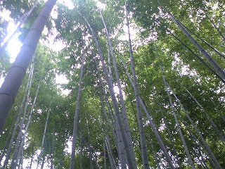 kamakura4