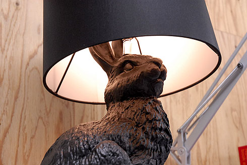 ウサギン | Qulaxina Techo