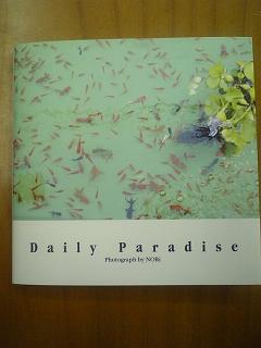 Daily Paradise
