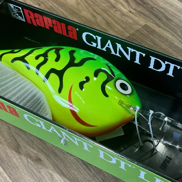 2024/8/1 本日の入荷!! | ハニースポット ブログ 2024/8/1 本日の入荷!! | ハニースポット ブログ