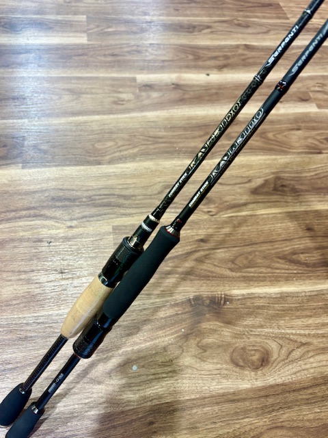 2025/3/19 本日の入荷!! | ハニースポット ブログ 2025/3/19 本日の入荷!! | ハニースポット ブログ