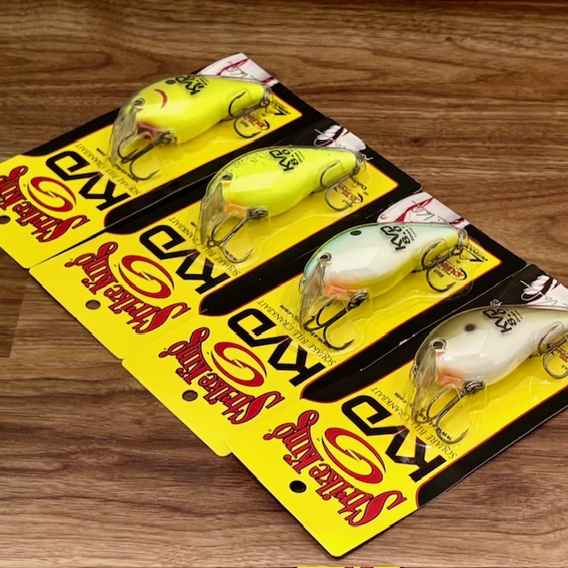 2025/8/3 本日の入荷！！ | ハニースポット ブログ