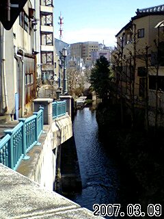 20070309_249289.jpg