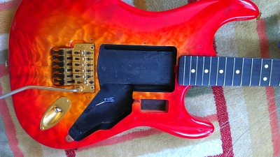 解体新書】Valley Arts Custom Line Limited SL #A038【その5