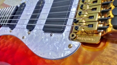 Valley Arts Guitarsペグ装備 ストラトキャスタータイプ ギター Valley Arts Guitarsペグ装備 ストラトキャスタータイプ ギター Valley