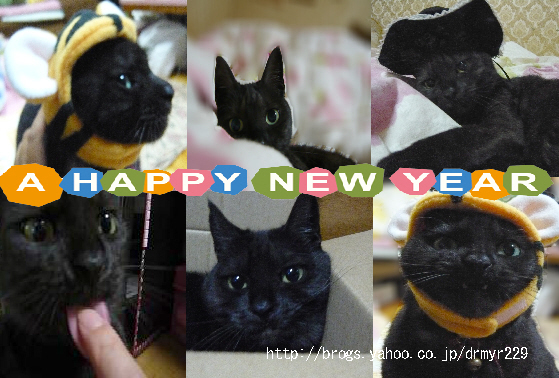 あけまして おめでとう | 黒猫くろちゃんの部屋