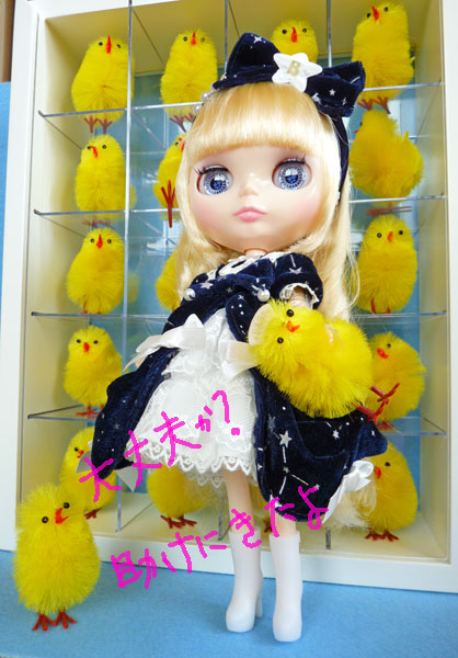 ホシノナミダヒメ 開封 その2 | 機織鳥 はたおりどり