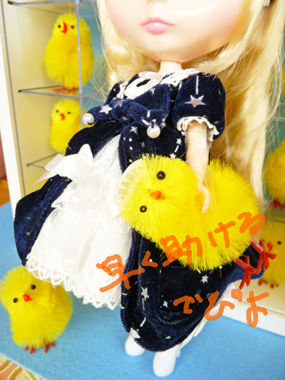 ホシノナミダヒメ 開封 その2 | 機織鳥 はたおりどり ホシノナミダヒメ 開封 その2 | 機織鳥 はたおりどり