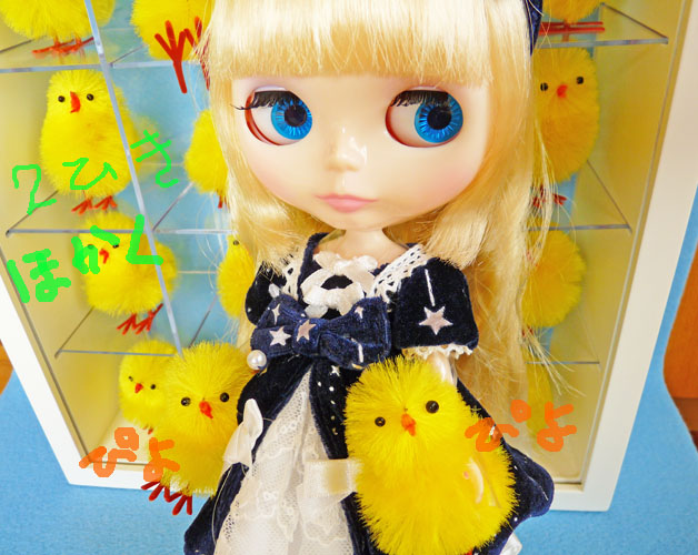 ホシノナミダヒメ 開封 その2 | 機織鳥 はたおりどり