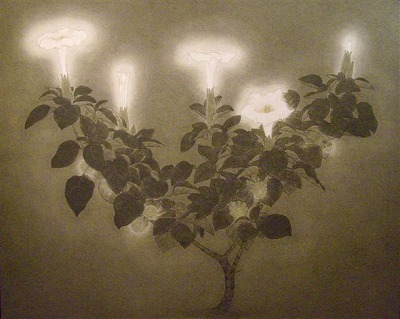 2/16～： 森田晴樹 日本画展 | 京橋画廊展覧会案内
