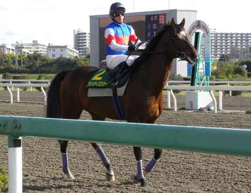 名馬 アジュディミツオー | 南関魂 高橋華代子の南関東競馬ブログ