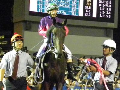 帝王賞優勝 フリオーソ | 南関魂 高橋華代子の南関東競馬ブログ