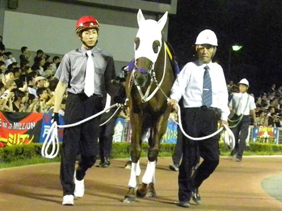 帝王賞優勝 フリオーソ | 南関魂 高橋華代子の南関東競馬ブログ