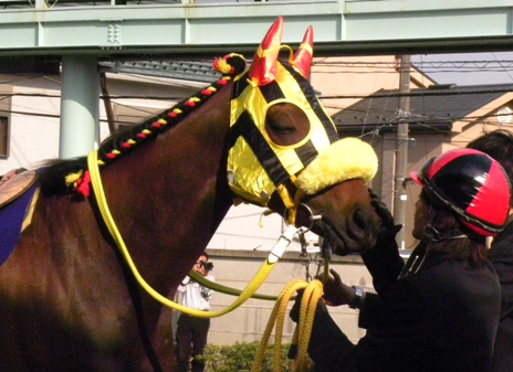 餵