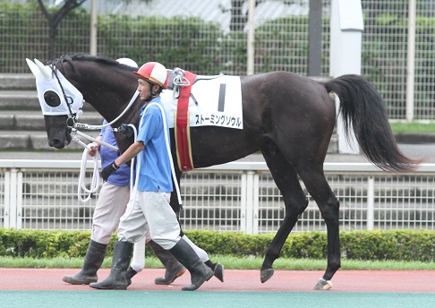 7月29日大井2レース新馬戦リポート 南関魂 高橋華代子の南関東競馬ブログ