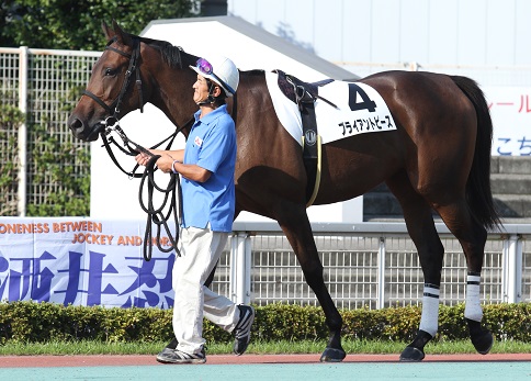 17棲졼