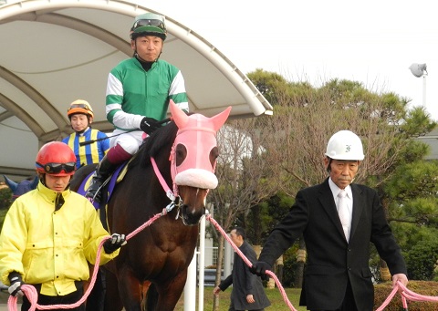 ①+② )ハルママ　9月2日収穫分 ハルサンサン、繁殖入り！ - 20131203_489885.jpg