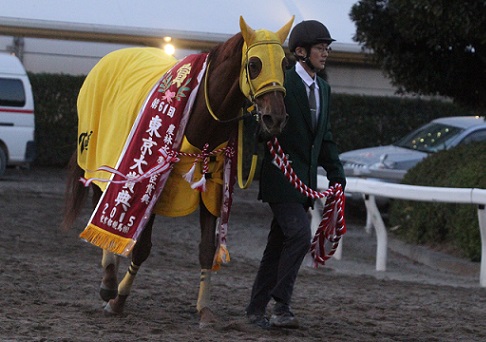レア品　東京大賞典2015 競馬ジャケット　サウンドトゥルー 東京大賞典、サウンドトゥルー優勝！ - 20151230_908810.jpg