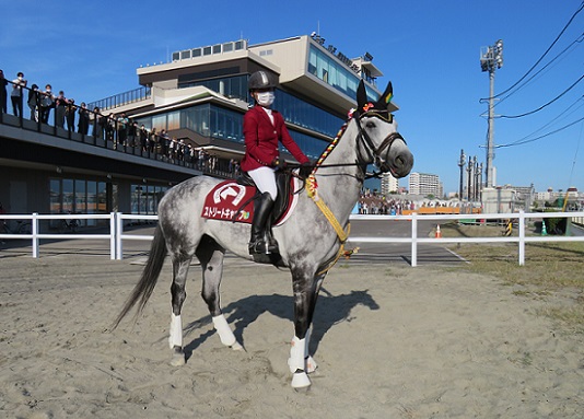船橋競馬場の新入り誘導馬ストリートキャップ | 南関魂 高橋華代子の南関東競馬ブログ