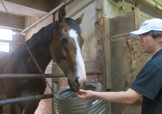 名前入り調教ゼッケン！！！ | 南関魂 高橋華代子の南関東競馬ブログ